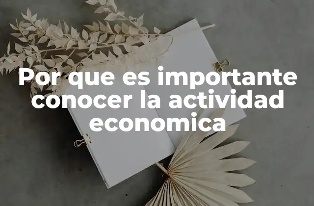 Por que es Importante Conocer la Actividad Economica