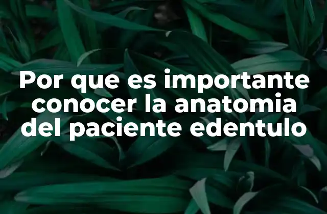 Por que es Importante Conocer la Anatomia Del Paciente Edentulo