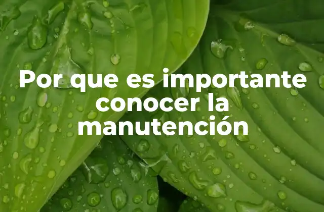 Por que es Importante Conocer la Manutención