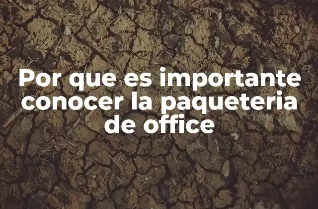 Por que es Importante Conocer la Paqueteria de Office