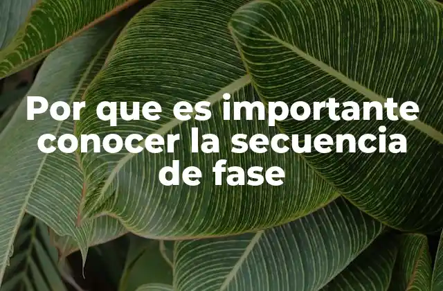 Por que es Importante Conocer la Secuencia de Fase