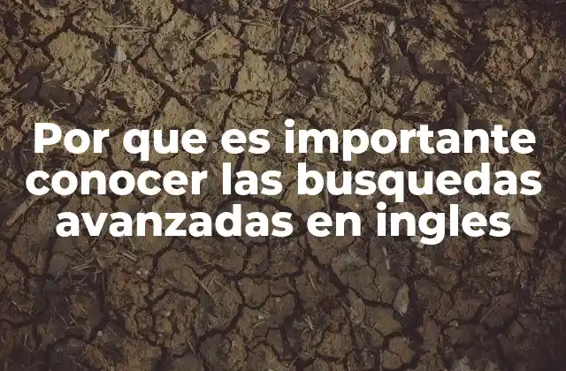 Por que es Importante Conocer las Busquedas Avanzadas en Ingles