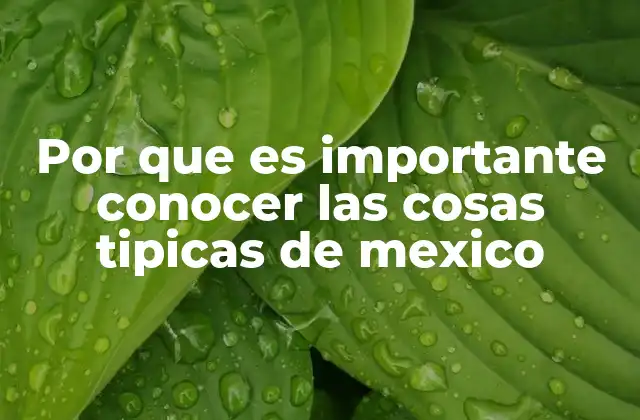 Por que es Importante Conocer las Cosas Tipicas de Mexico
