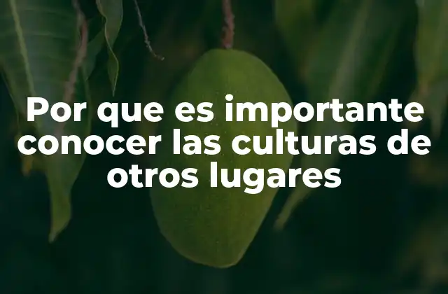 Por que es Importante Conocer las Culturas de Otros Lugares