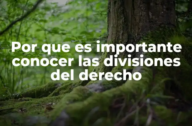 Cómo la clasificación del derecho facilita la justicia