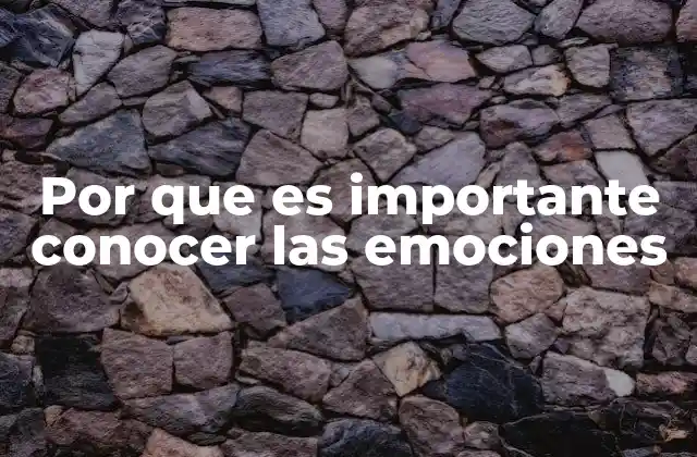 Por que es Importante Conocer las Emociones 2 El poder de la autoconciencia emocional