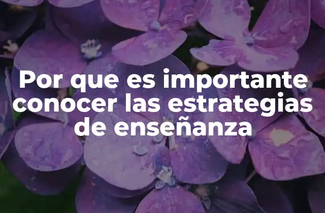 Por que es Importante Conocer las Estrategias de Enseñanza