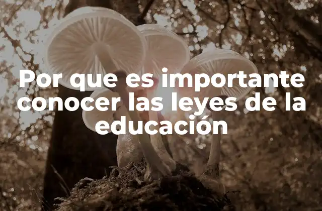 Por que es Importante Conocer las Leyes de la Educación