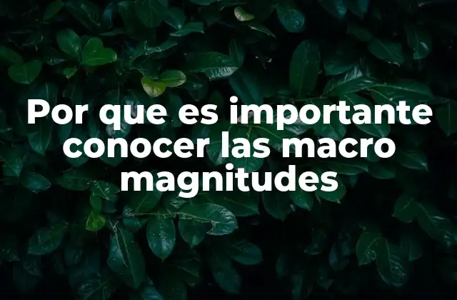 Por que es Importante Conocer las Macro Magnitudes