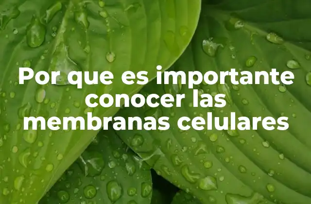 Por que es Importante Conocer las Membranas Celulares