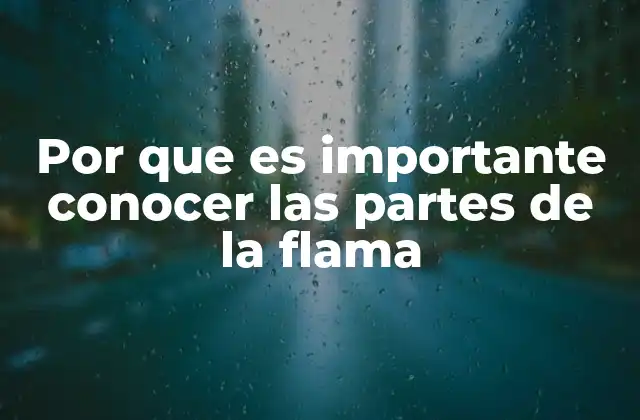 Por que es Importante Conocer las Partes de la Flama