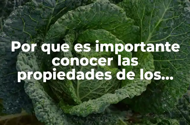 Por que es Importante Conocer las Propiedades de los Fluidos