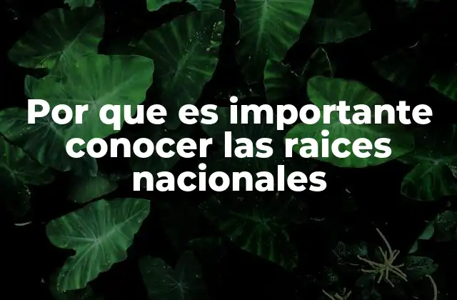 La identidad colectiva y su relación con el conocimiento histórico