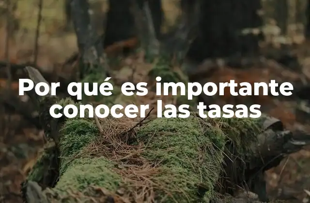 Por Qué es Importante Conocer las Tasas