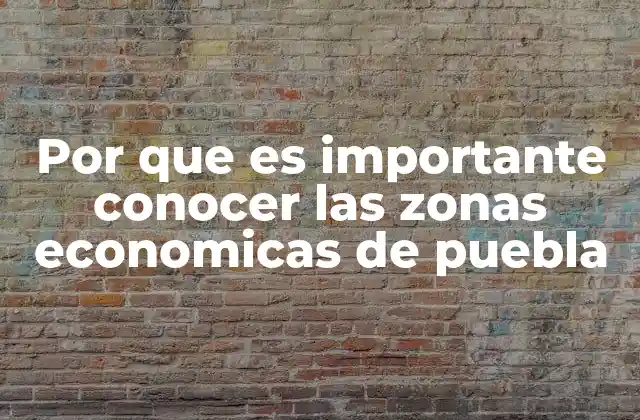 Por que es Importante Conocer las Zonas Economicas de Puebla