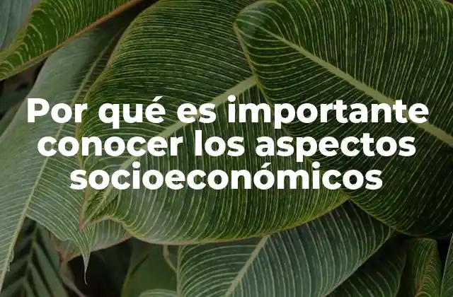 Por Qué es Importante Conocer los Aspectos Socioeconómicos