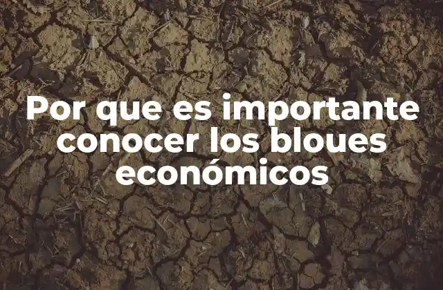 Por que es Importante Conocer los Bloues Económicos