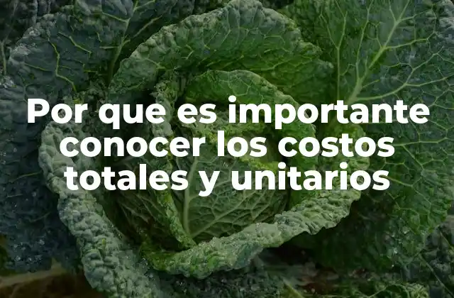 Por que es Importante Conocer los Costos Totales y Unitarios