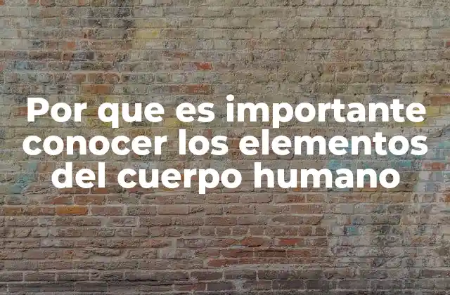 Por que es Importante Conocer los Elementos Del Cuerpo Humano