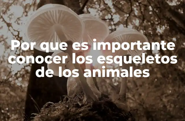 Por que es Importante Conocer los Esqueletos de los Animales