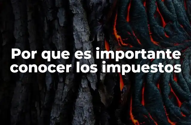 Por que es Importante Conocer los Impuestos