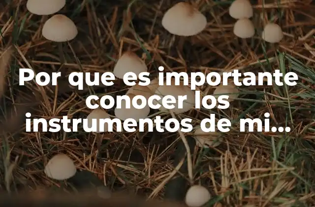 Por que es Importante Conocer los Instrumentos de Mi Entorno