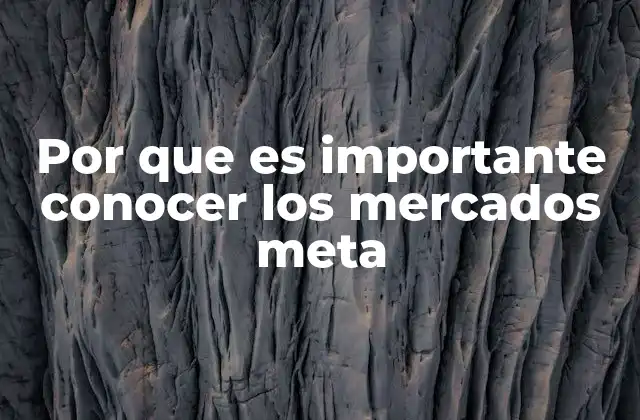Por que es Importante Conocer los Mercados Meta