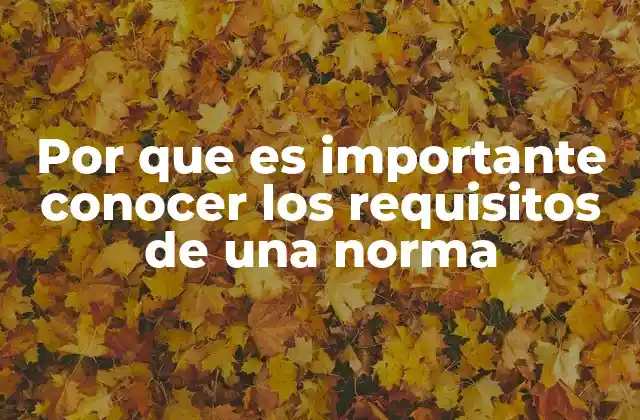 Por que es Importante Conocer los Requisitos de una Norma 2 La importancia de comprender las normas en el contexto empresarial