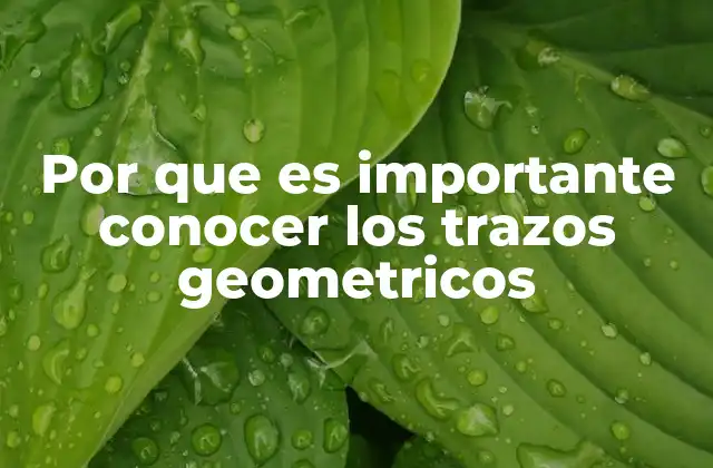 Por que es Importante Conocer los Trazos Geometricos