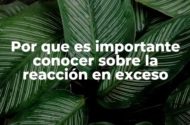 Por que es Importante Conocer sobre la Reacción en Exceso