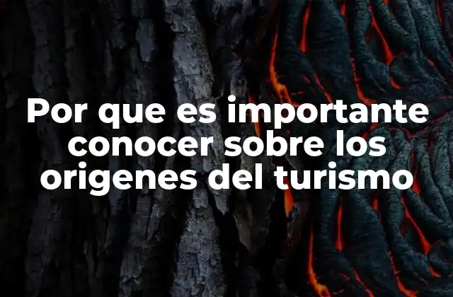 Por que es Importante Conocer sobre los Origenes Del Turismo