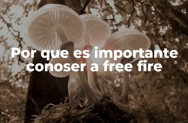 Por que es Importante Conoser a Free Fire