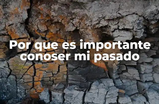 Por que es Importante Conoser Mi Pasado 2 El poder de la reflexión personal sin mencionar el pasado