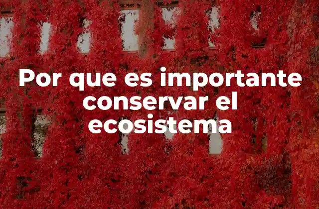 Por que es Importante Conservar el Ecosistema