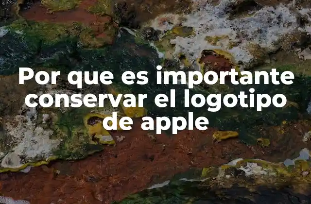 Por que es Importante Conservar el Logotipo de Apple 2 El logotipo como imagen de identidad y estabilidad