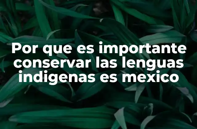 Por que es Importante Conservar las Lenguas Indigenas es Mexico
