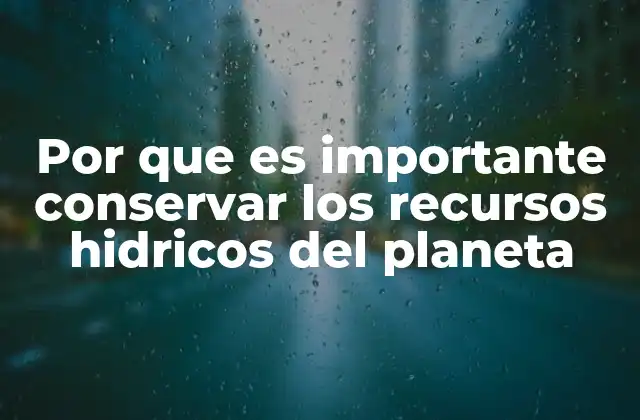 Por que es Importante Conservar los Recursos Hidricos Del Planeta