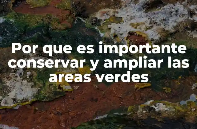 Por que es Importante Conservar y Ampliar las Areas Verdes