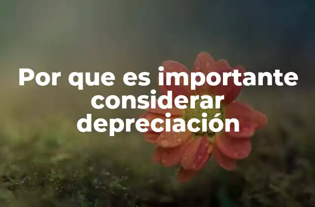 Por que es Importante Considerar Depreciación