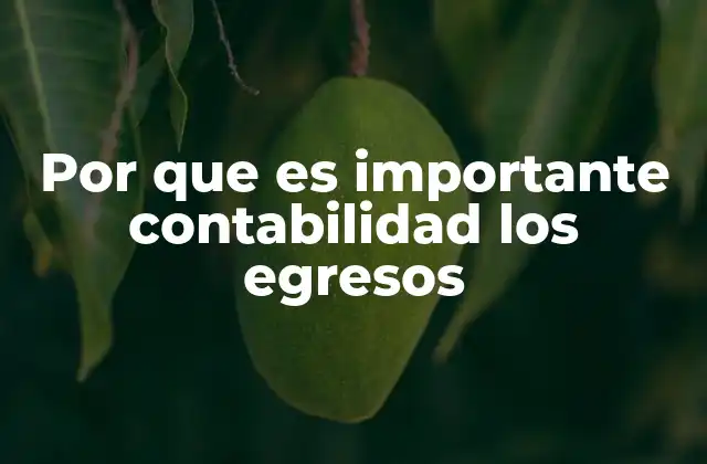 Por que es Importante Contabilidad los Egresos