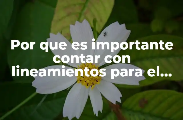 Por que es Importante Contar con Lineamientos para el Gasto