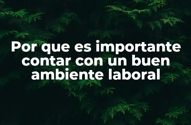 Por que es Importante Contar con un Buen Ambiente Laboral