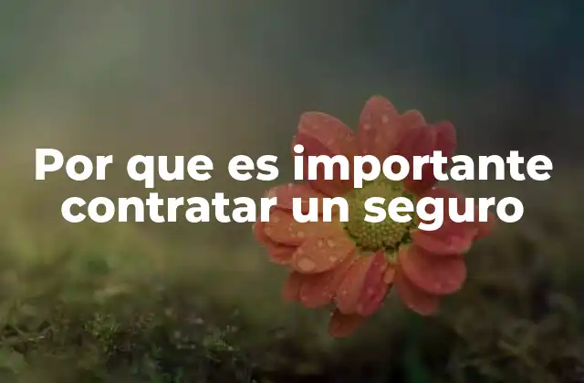 Por que es Importante Contratar un Seguro