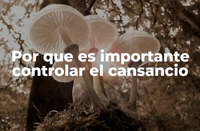 Por que es Importante Controlar el Cansancio 2 Cómo la fatiga afecta a la calidad de vida sin mencionar directamente el término