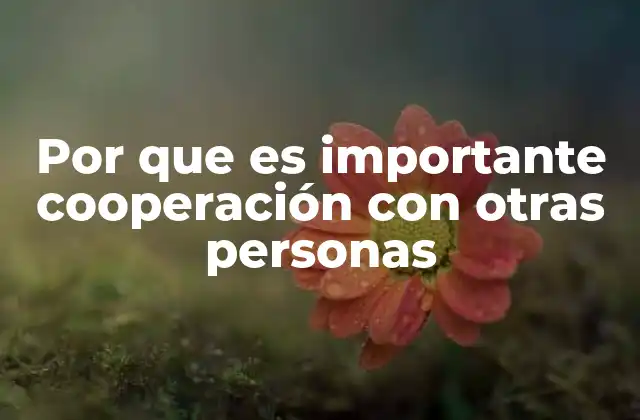 Por que es Importante Cooperación con Otras Personas