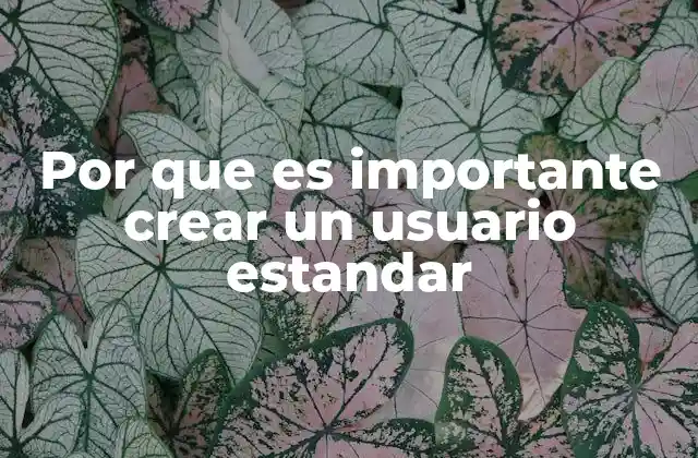 Por que es Importante Crear un Usuario Estandar