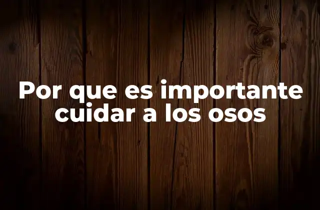 Por que es Importante Cuidar a los Osos 2 La importancia de los osos en los ecosistemas