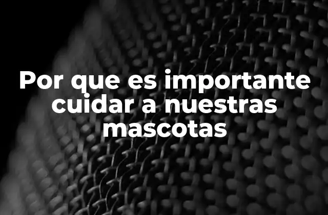 El impacto emocional y social del cuidado de mascotas