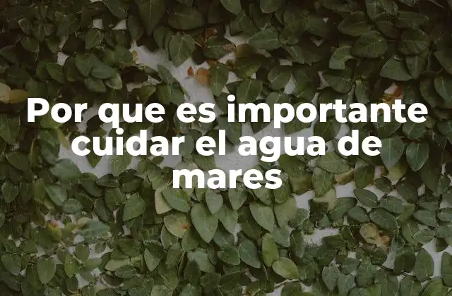 Por que es Importante Cuidar el Agua de Mares