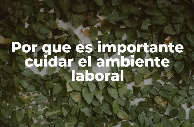 Por que es Importante Cuidar el Ambiente Laboral